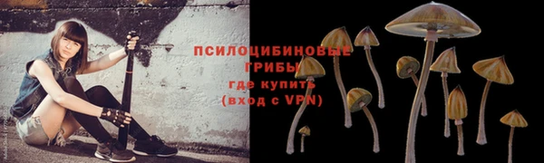 эйфоретик Алексеевка