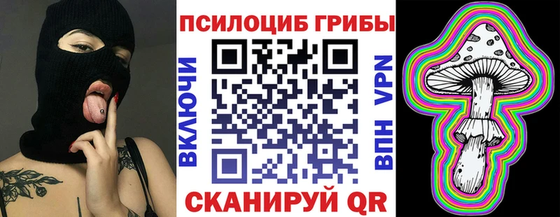 Псилоцибиновые грибы MAGIC MUSHROOMS  наркота  Березники 