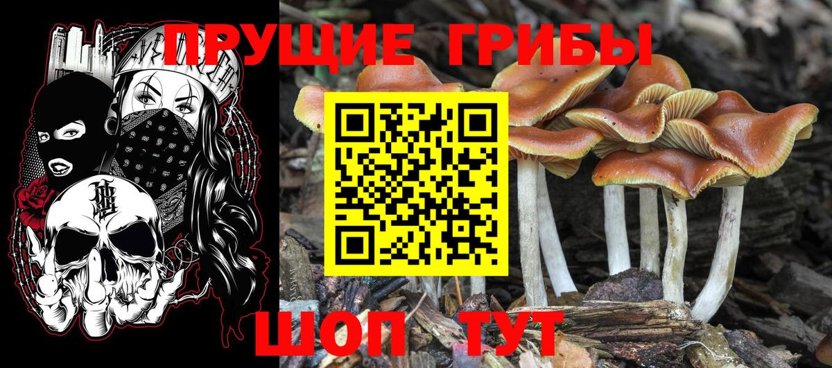 Галлюциногенные грибы MAGIC MUSHROOMS Березники