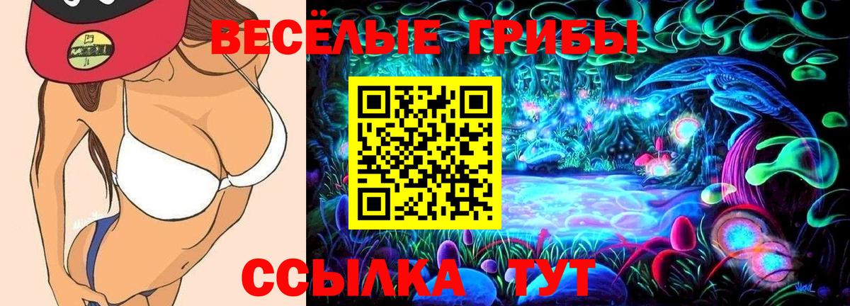 Галлюциногенные грибы Magic Shrooms  Вход с VPN  Березники 