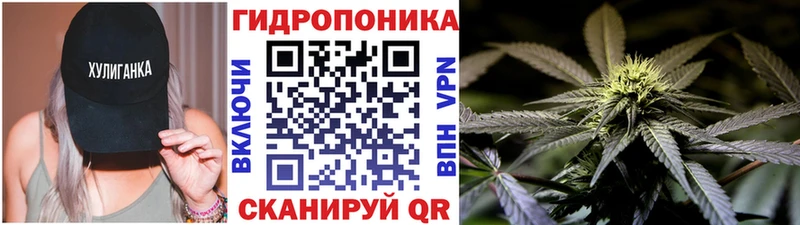 Бошки марихуана AK-47  купить   кракен онион  Березники 